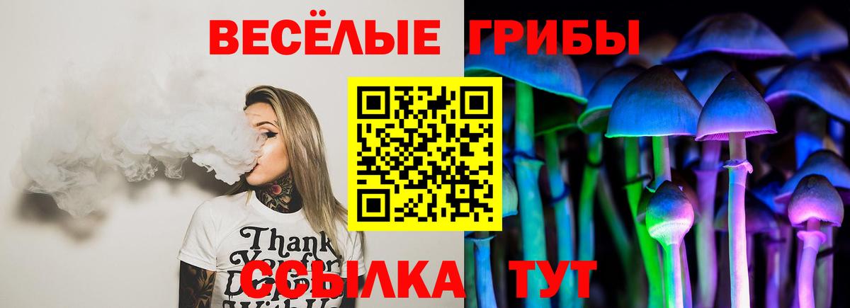 Елабуга  Псилоцибиновые грибы Psilocybine cubensis  Вход с VPN 