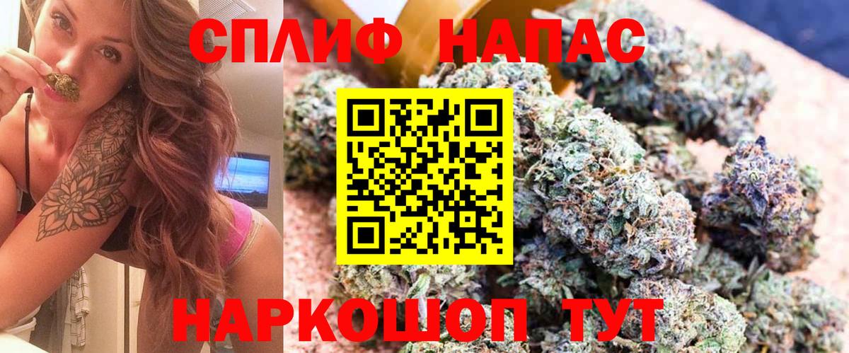 Марихуана сатива Елабуга